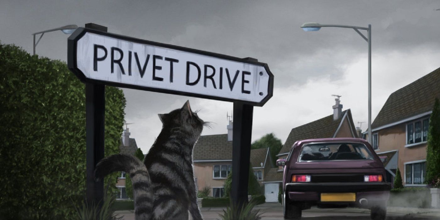 McGonagall Cat at Privet Drive in Harry Potter