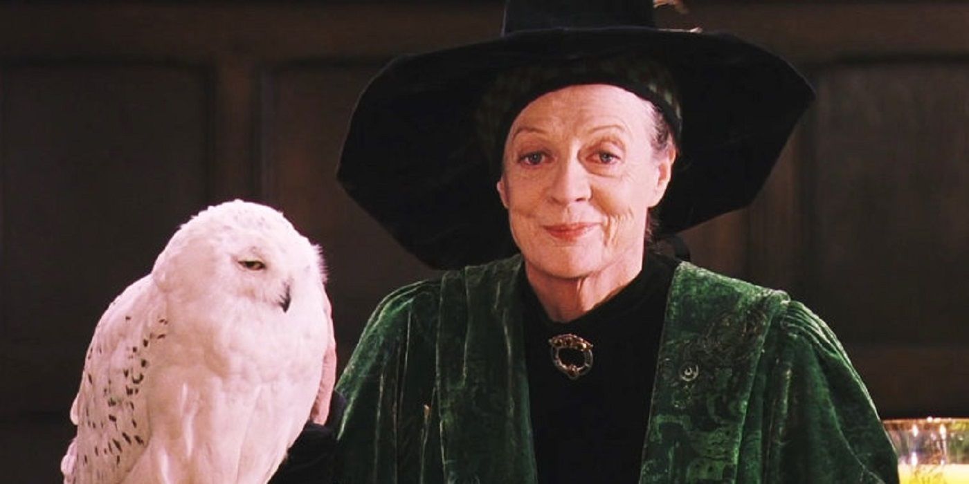 McGonagall and owl in Harry Potter