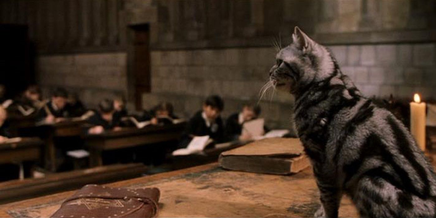 McGonagall transforms into a cat in Harry Potter
