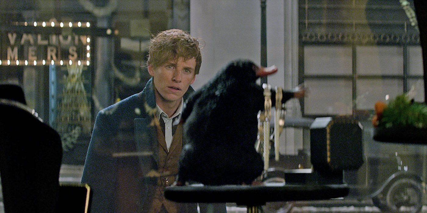 Newt Scamander and a Niffler in Fantastic Beasts Movie