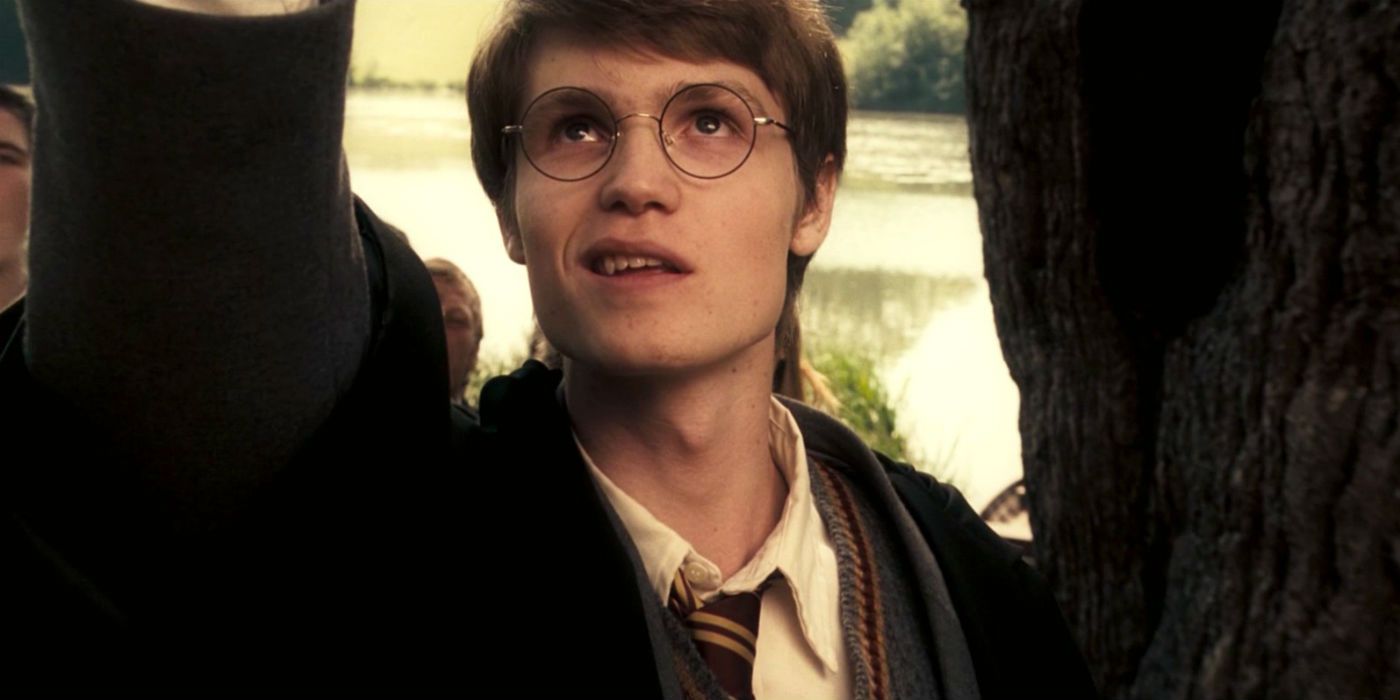 A Young James Potter smirking while raising his wand to torture Severus