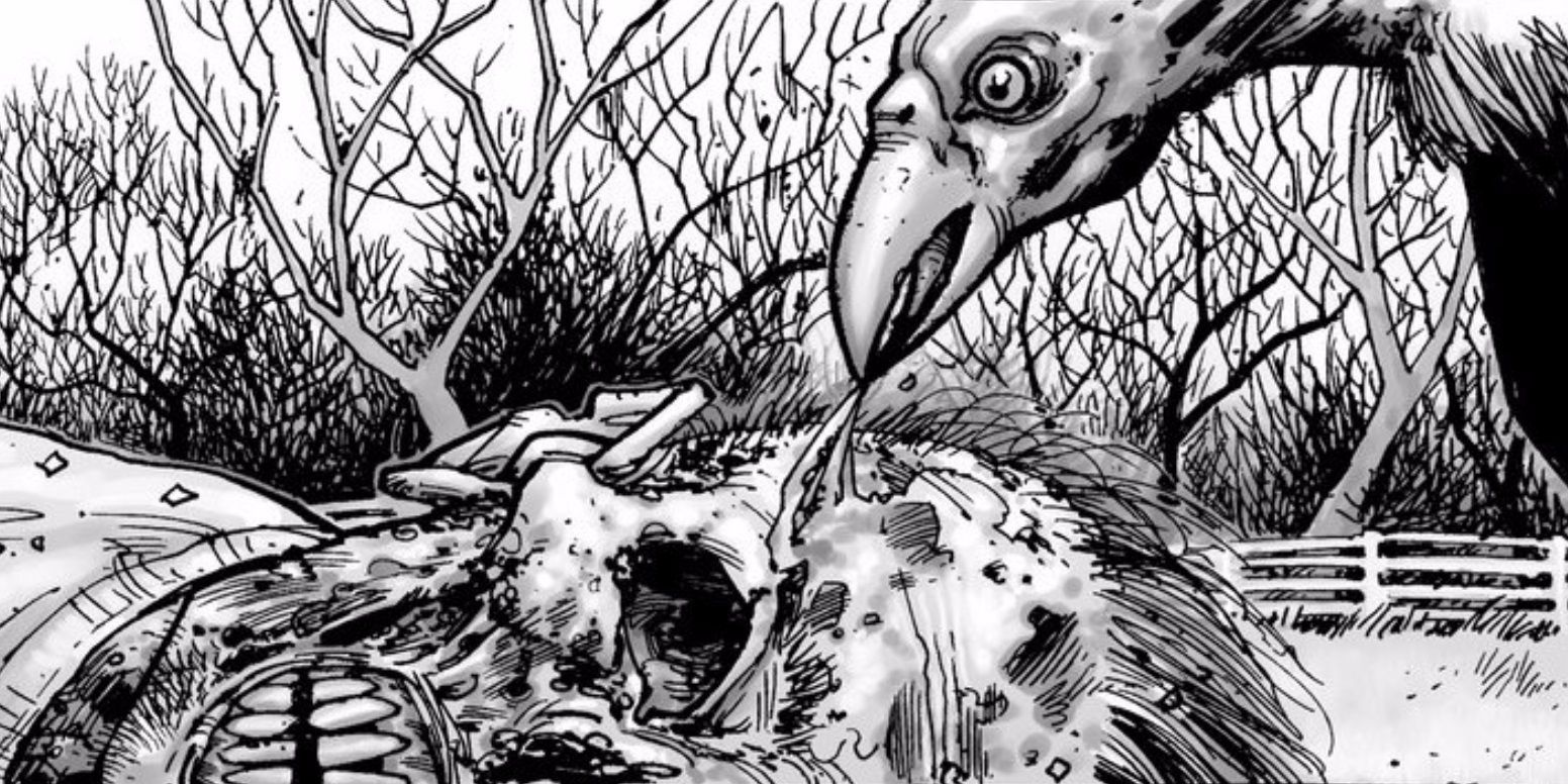 The Walking Dead Comic A Vulture Eats A Corpse