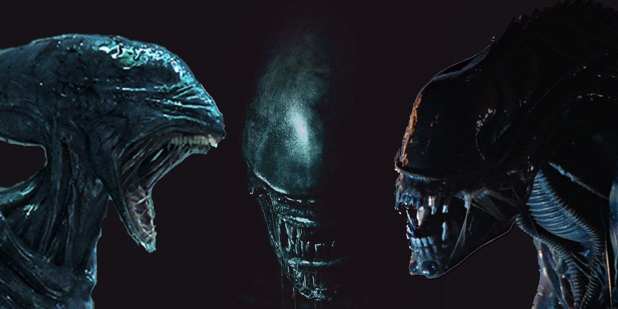 Xenomorphs Aliens Prometheus Alien Covenant