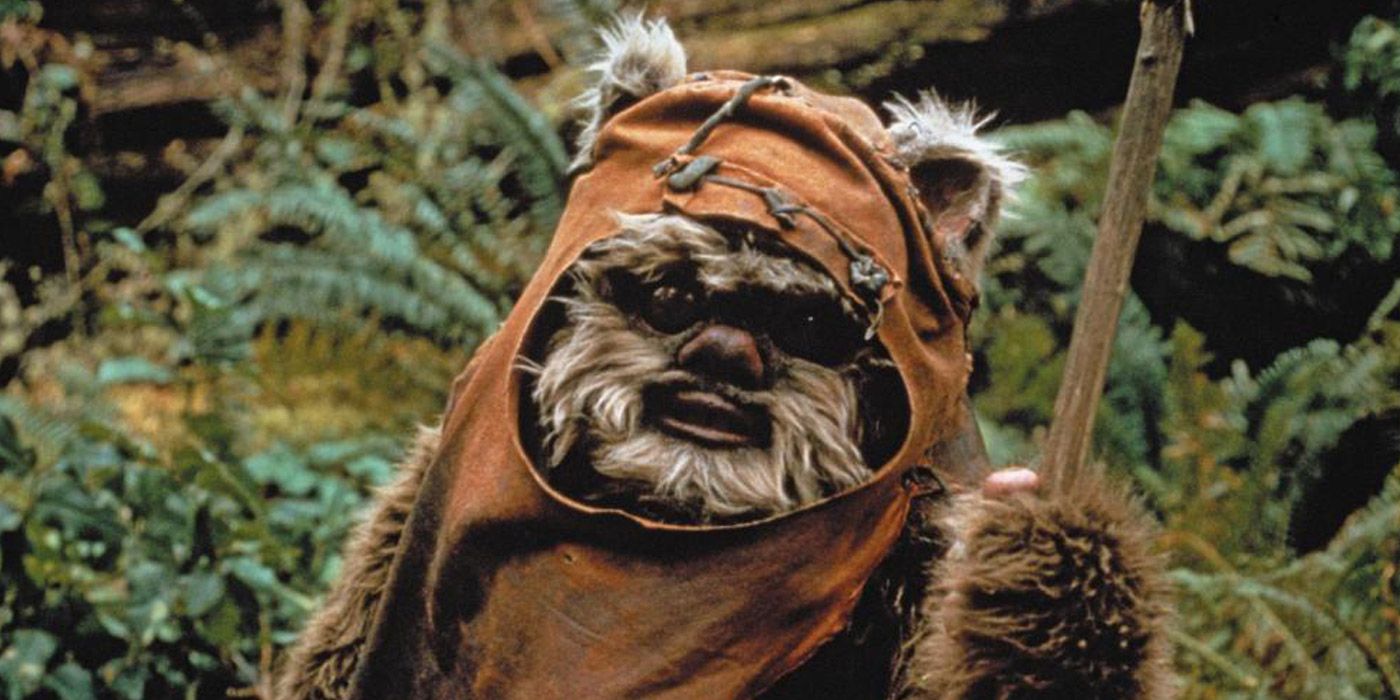 Ewok in Star Wars Return of the Jedi