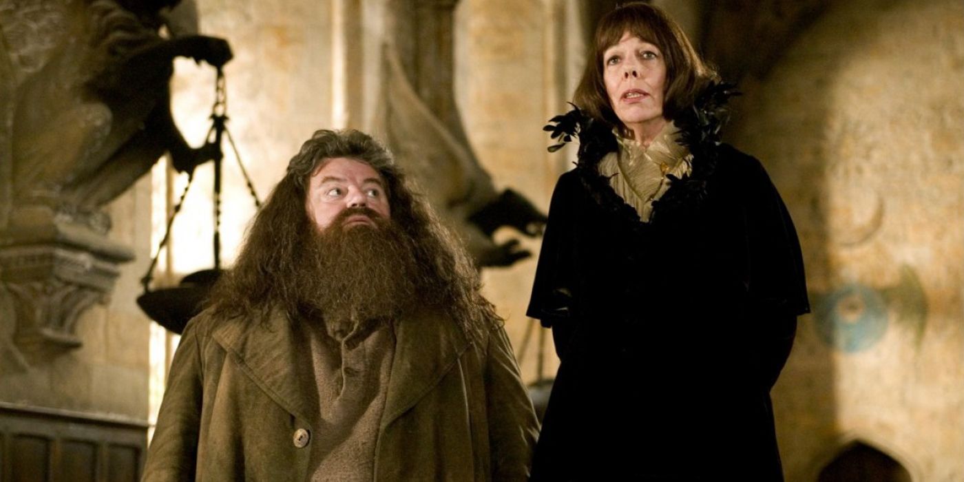 Hagrid and Madame Maxime in Harry Potter