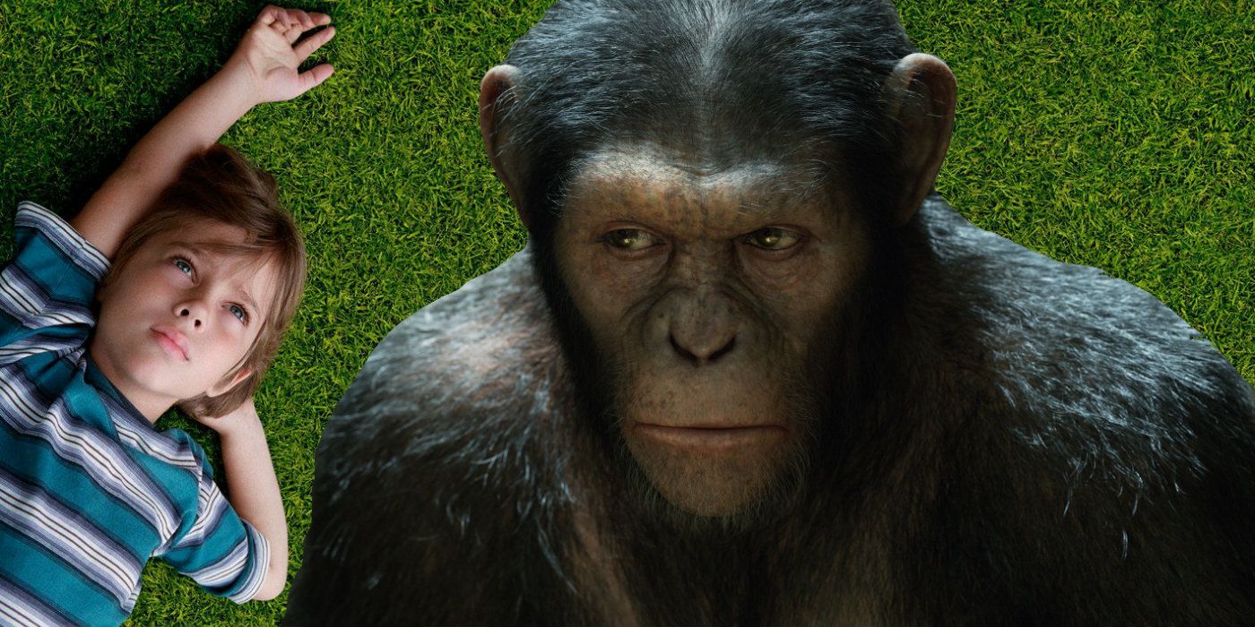 Planet of the Apes and Boyhood
