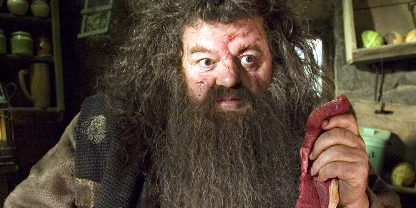 Robbie Coltrane as injured Hagrid