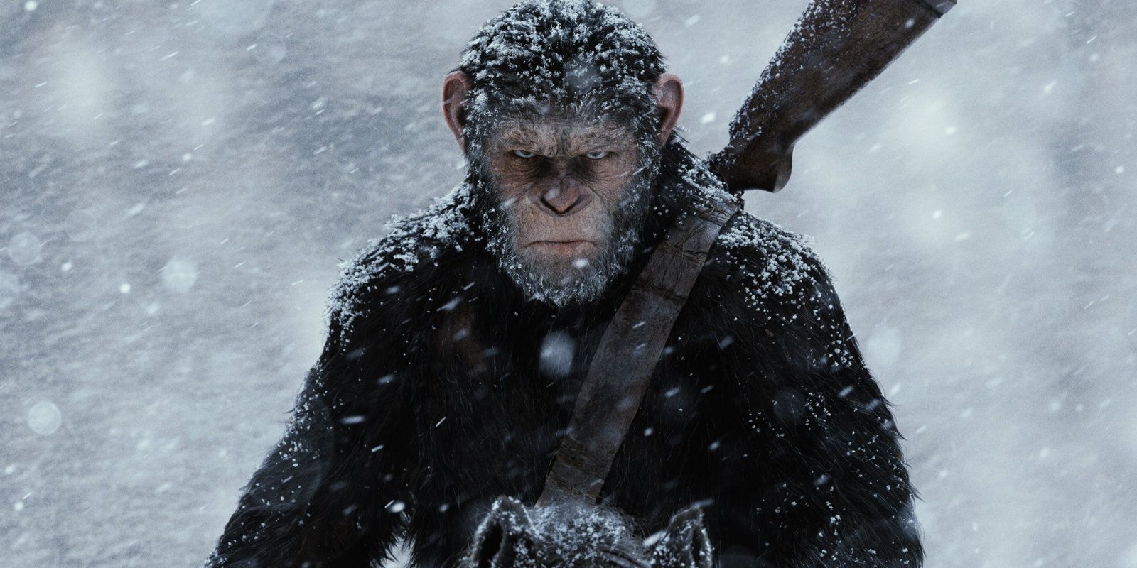 War for the Planet of the Apes Ape in snow