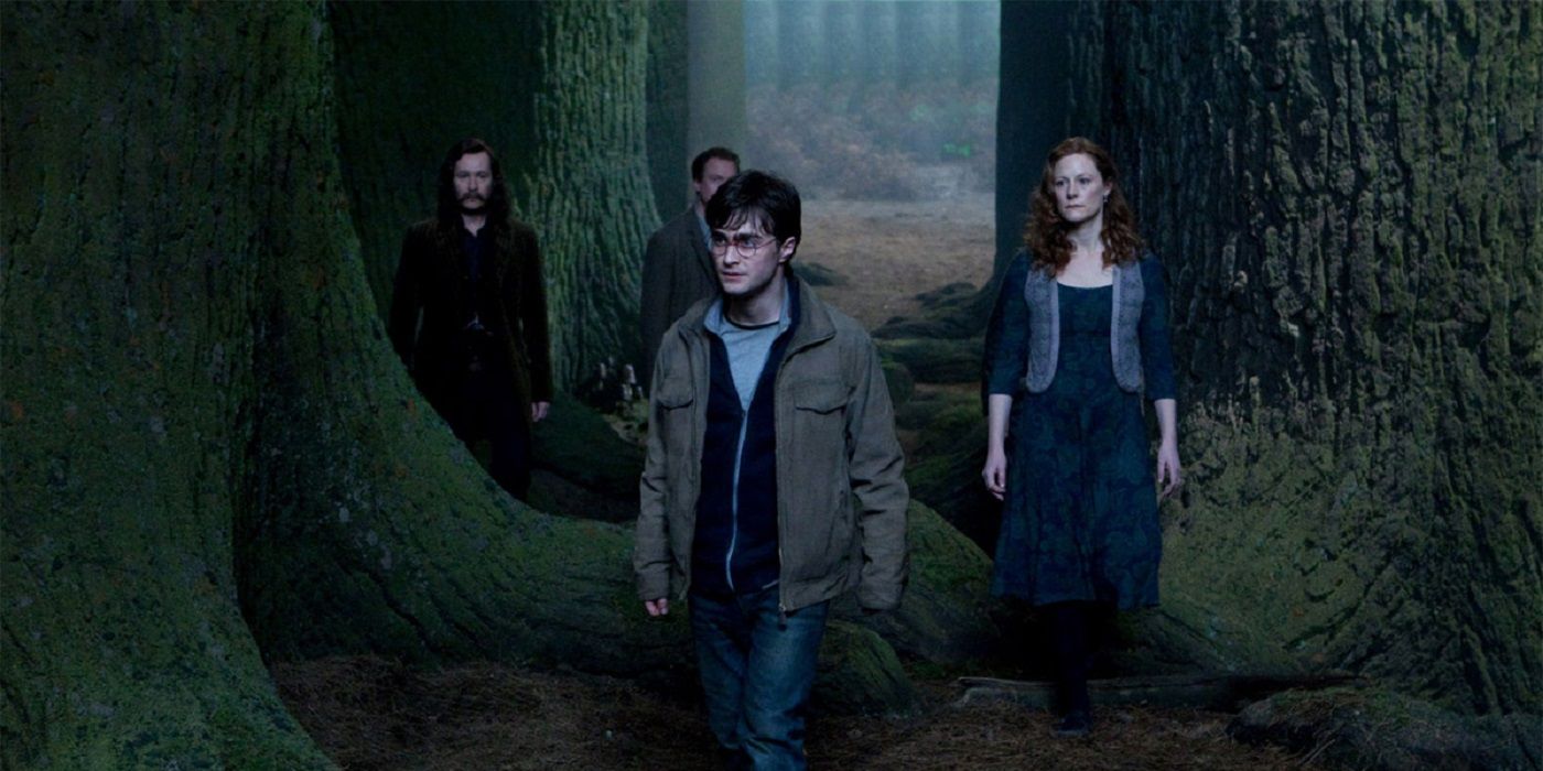 Harry walks through the Forbidden Forest with Lily, Sirius, and Remus.