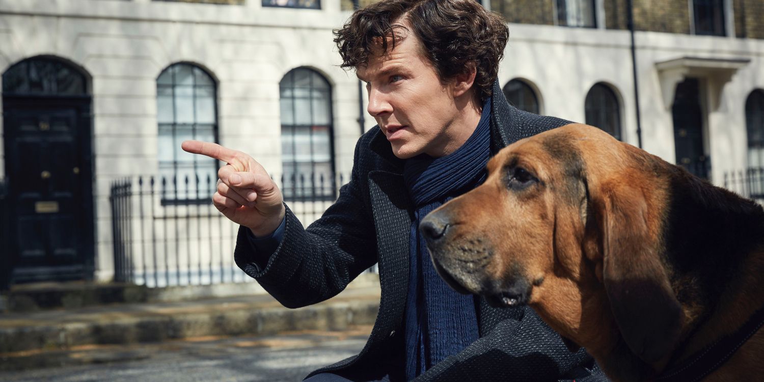 Benedict Cumberbatch and dog in Sherlock Season 4