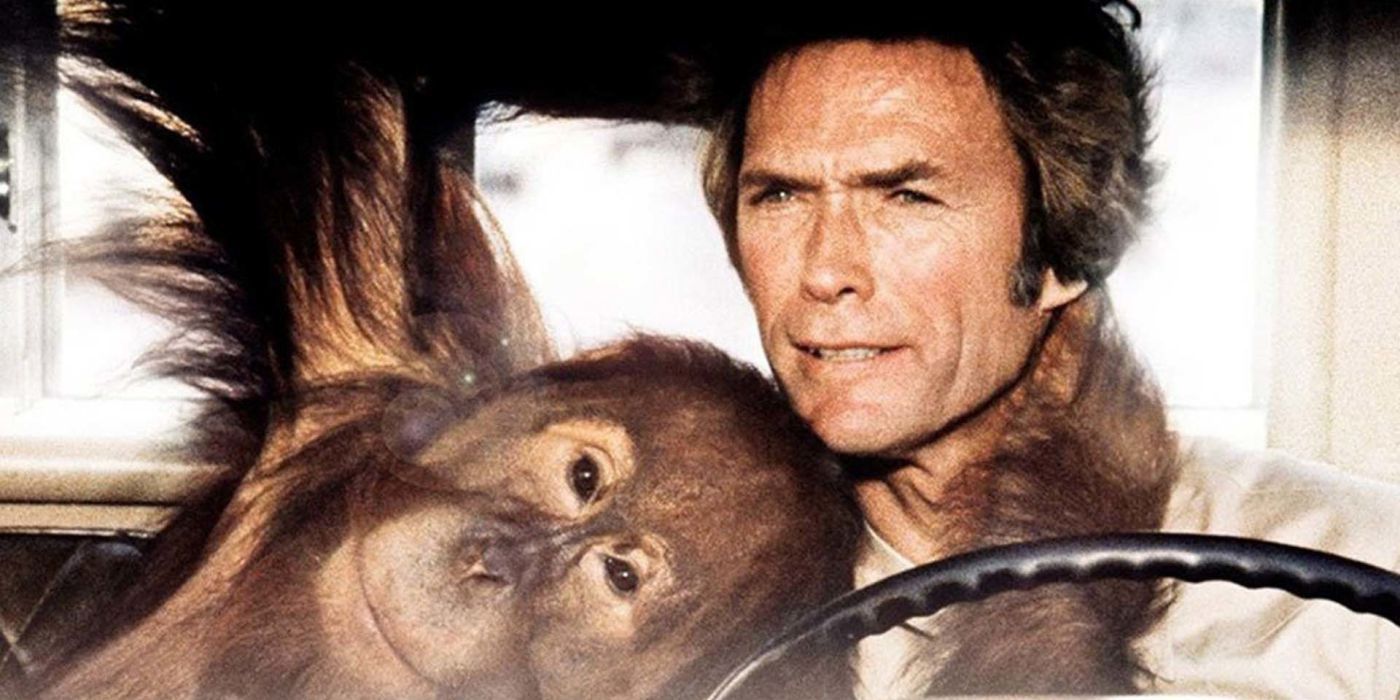 Clint Eastwood and Clyde in Every Which Way But Loose