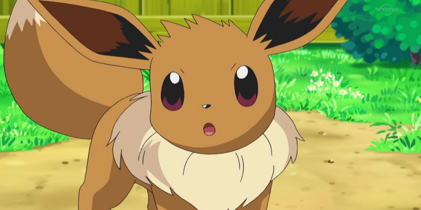 Let's go Eevee! New hairstyle in anime! | Pokémon Amino