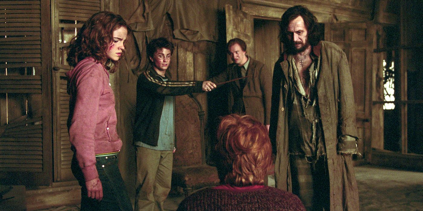 Hermione, Harry, Lupin and Sirius
