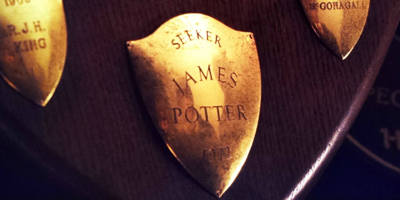 A plaque showing James Potter as Seeker