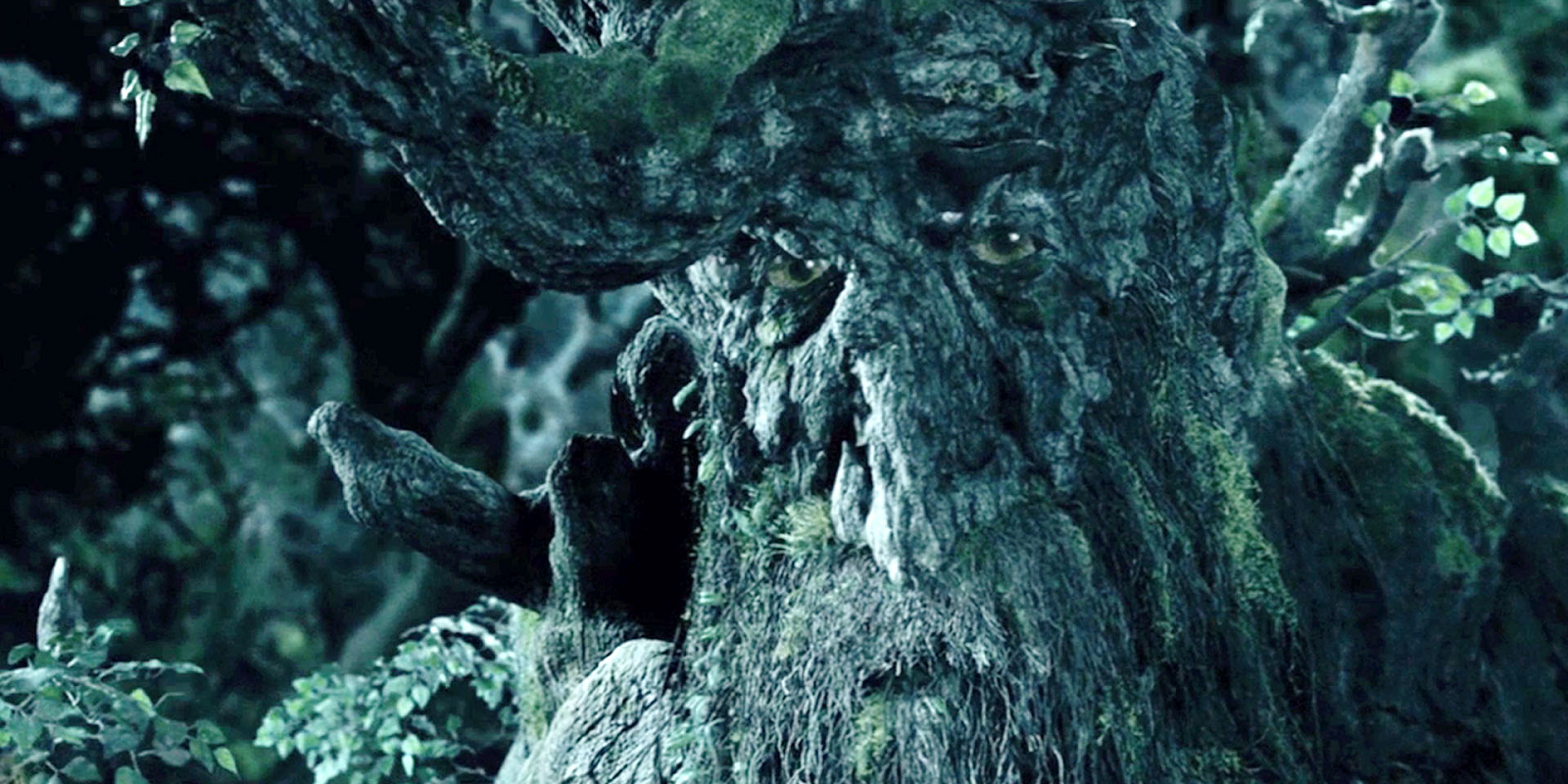 Treebeard looking on smartly in The Lord of the Rings