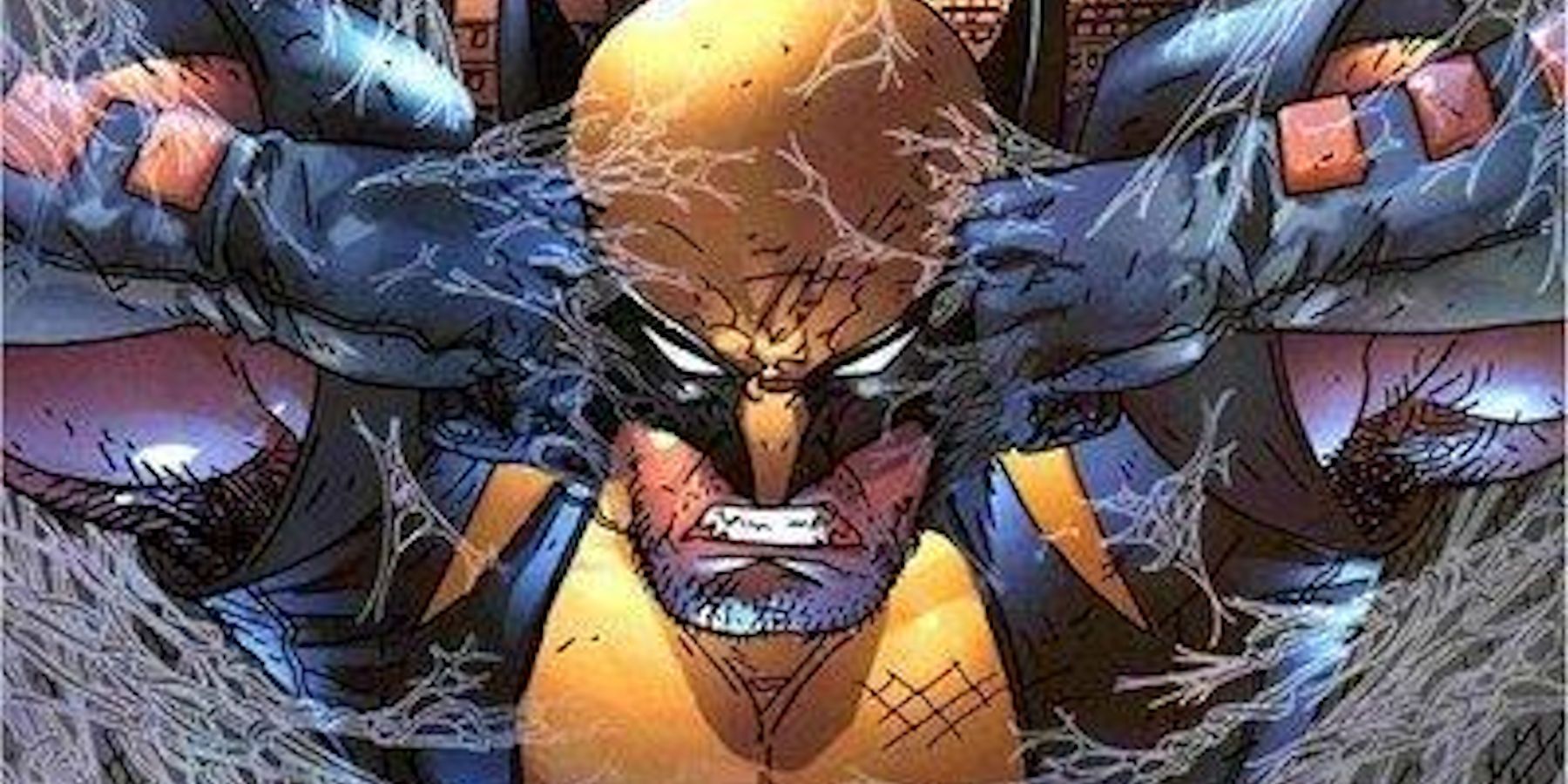 Wolverine caught in Spider-Man web