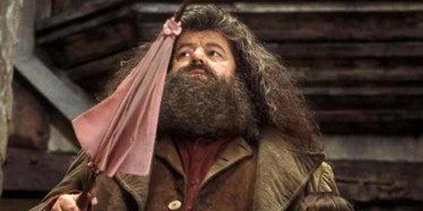 Hagrid's umbrella wand in Harry Potter