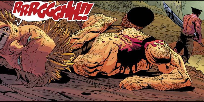 Wolverine uses a sword to decapitate sabretooth in hell