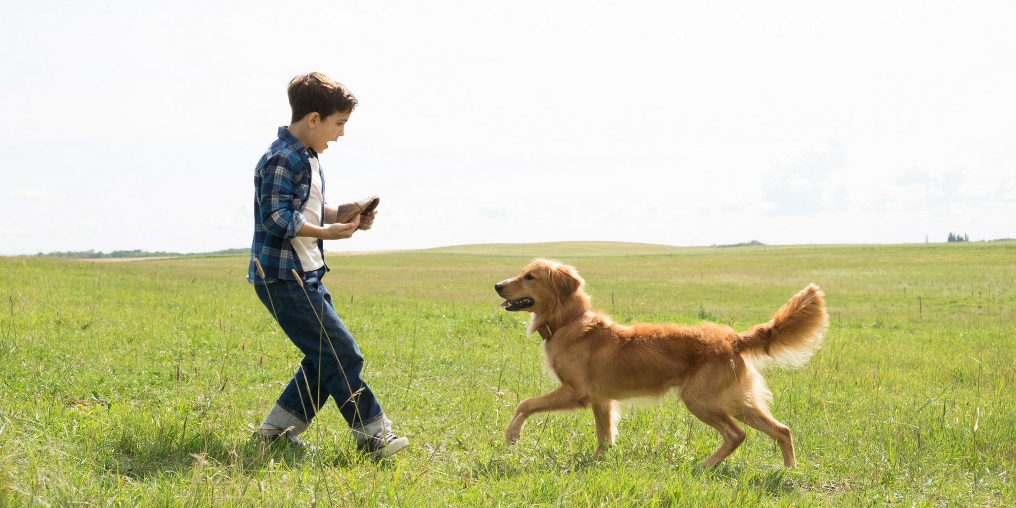 A Dog's Purpose - Young Ethan