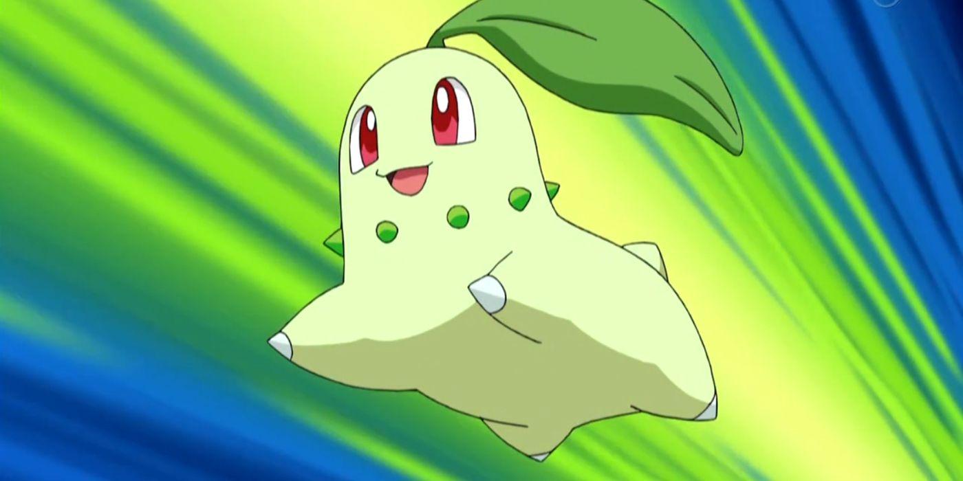 Chikorita leaps in the air in the Pokemon anime.