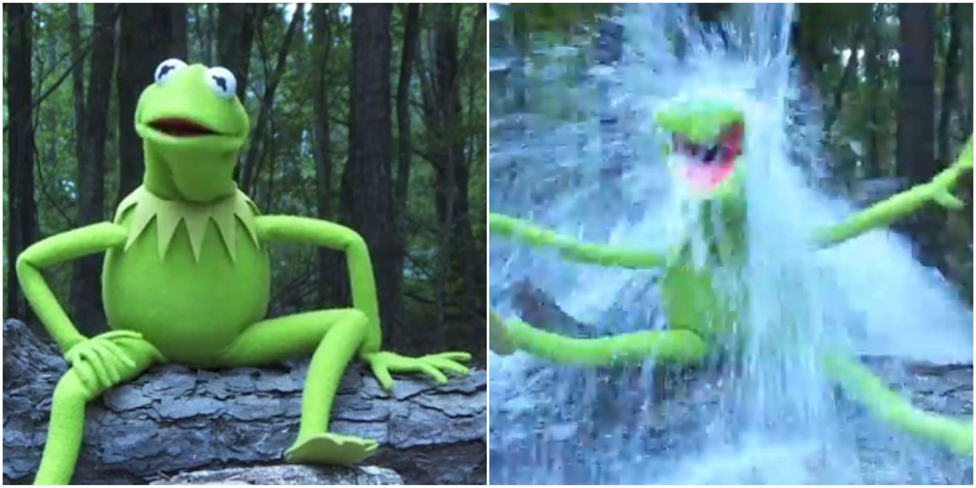 Kermit the Frog ALS Ice Bucket Challenge