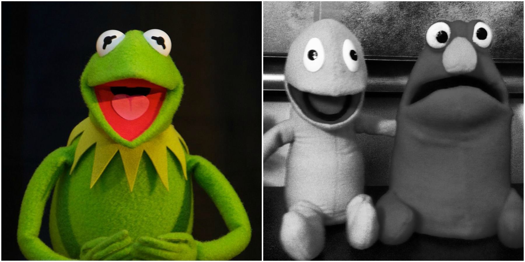 Kermit the Frog with Wilkins and Wontkins