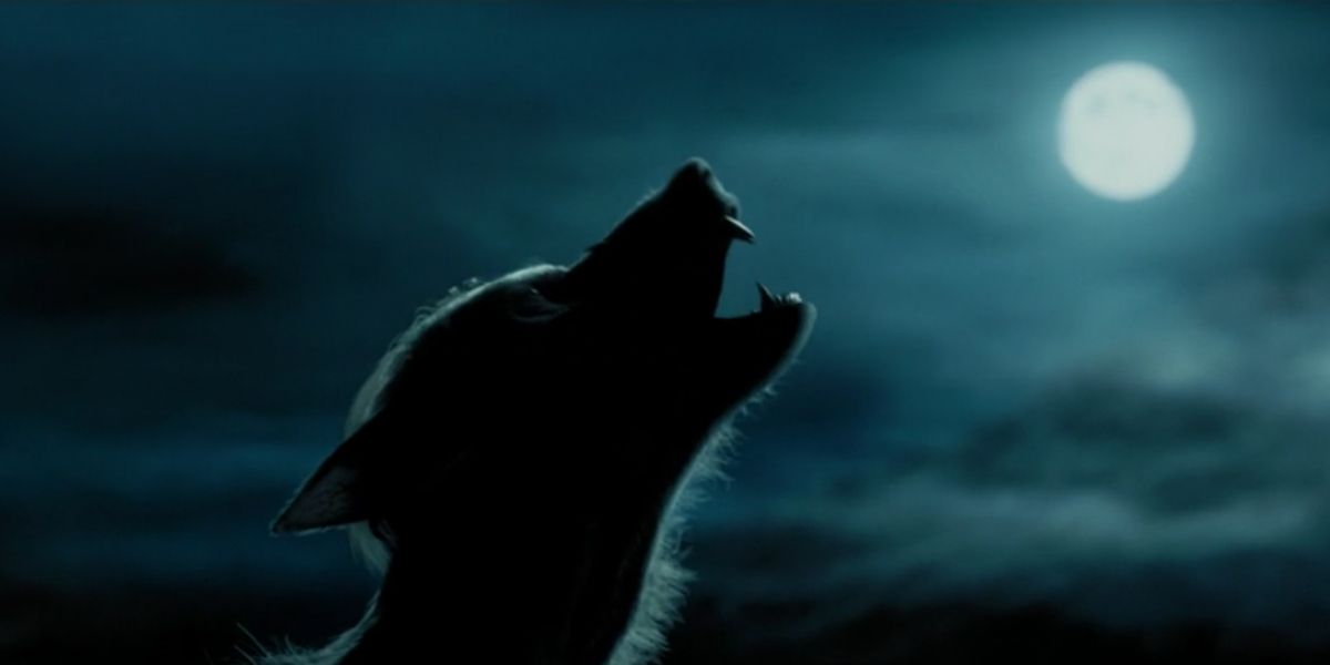 Lupin howling at the moon in Harry Potter
