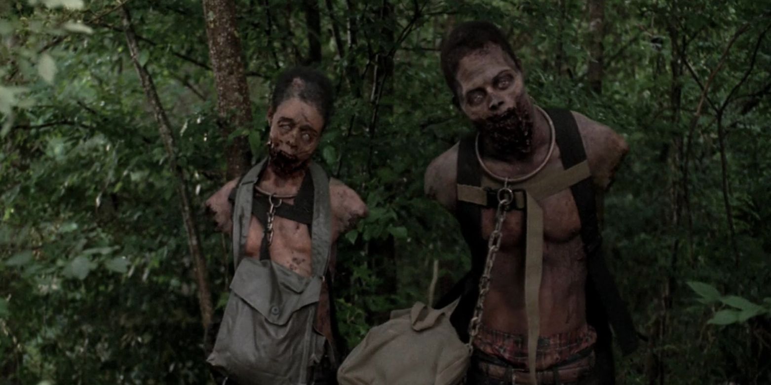 Michonne's Zombie Pets on The Walking Dead
