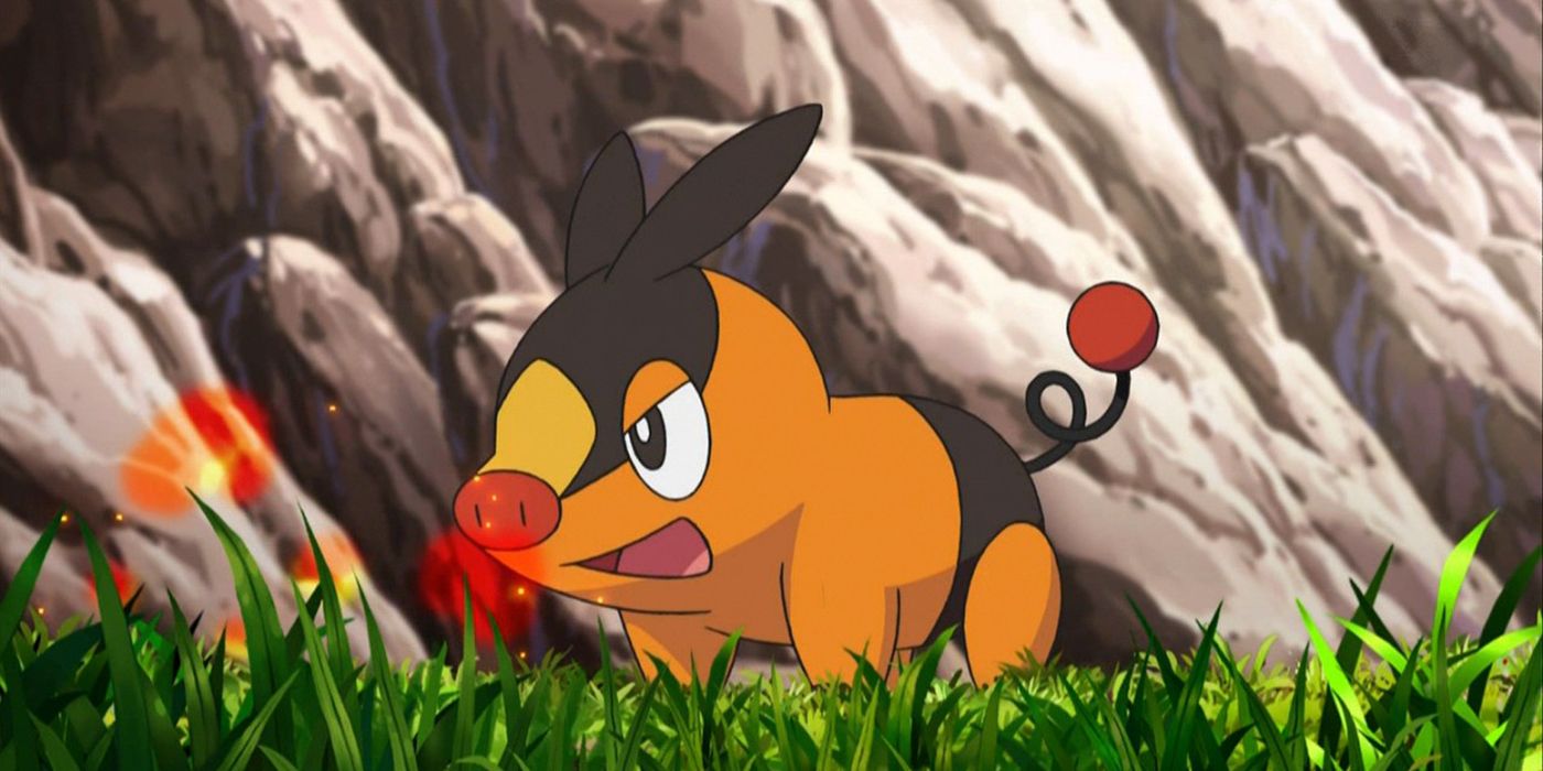 Tepig frowning in the Pokémon anime