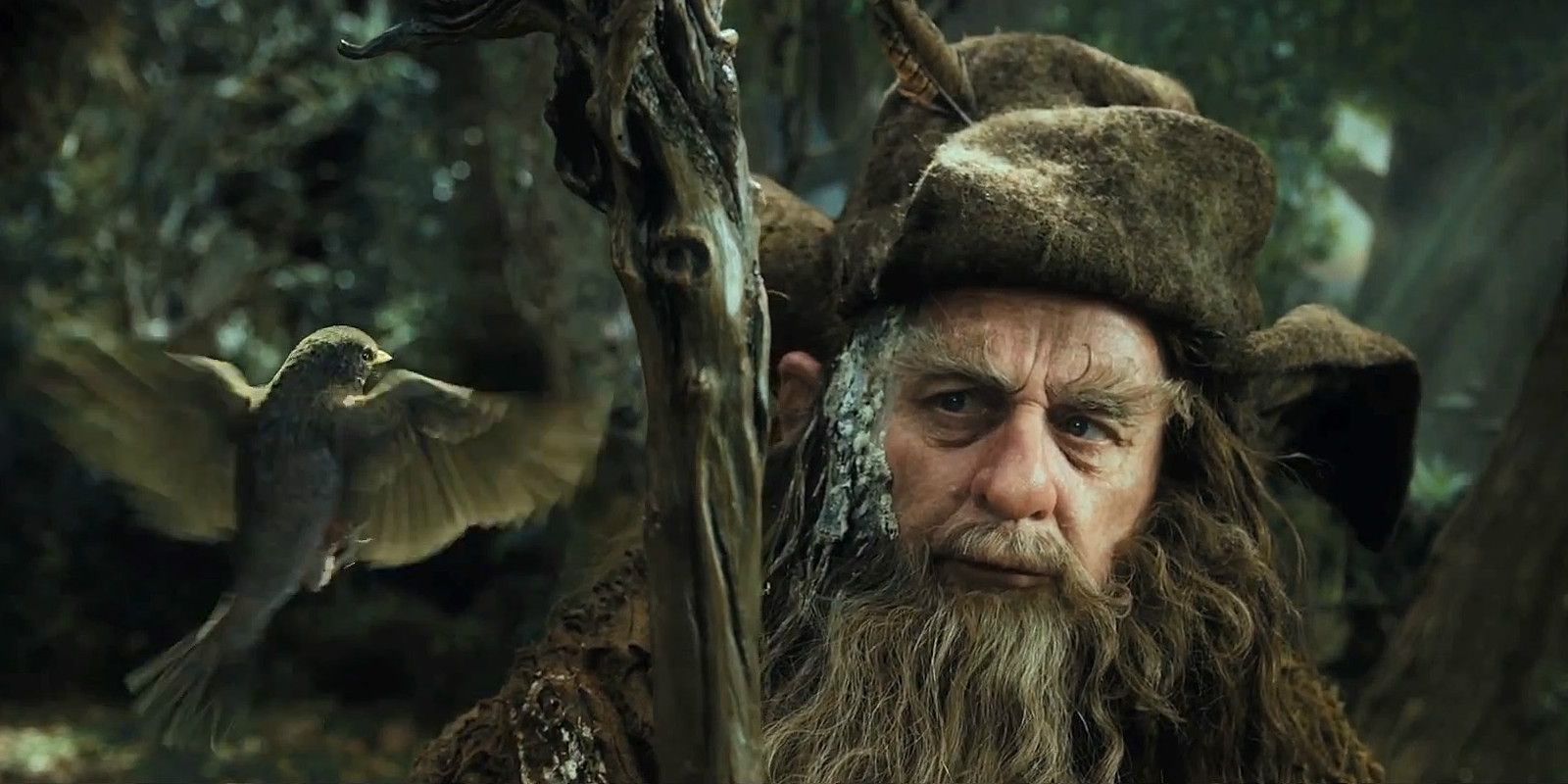 The Hobbit: Where Radagast The Brown Is During Lord Of The Rings