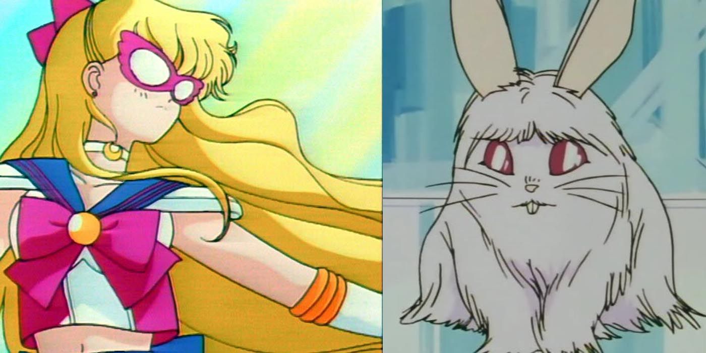Sailor Moon cut episodes include Sailor V and Chanela