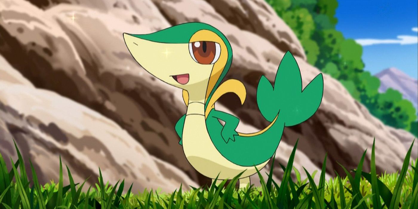 Snivy walks on grass in the Pokemon anime