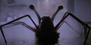 10 Things You Didn t Know About The Thing 1982 