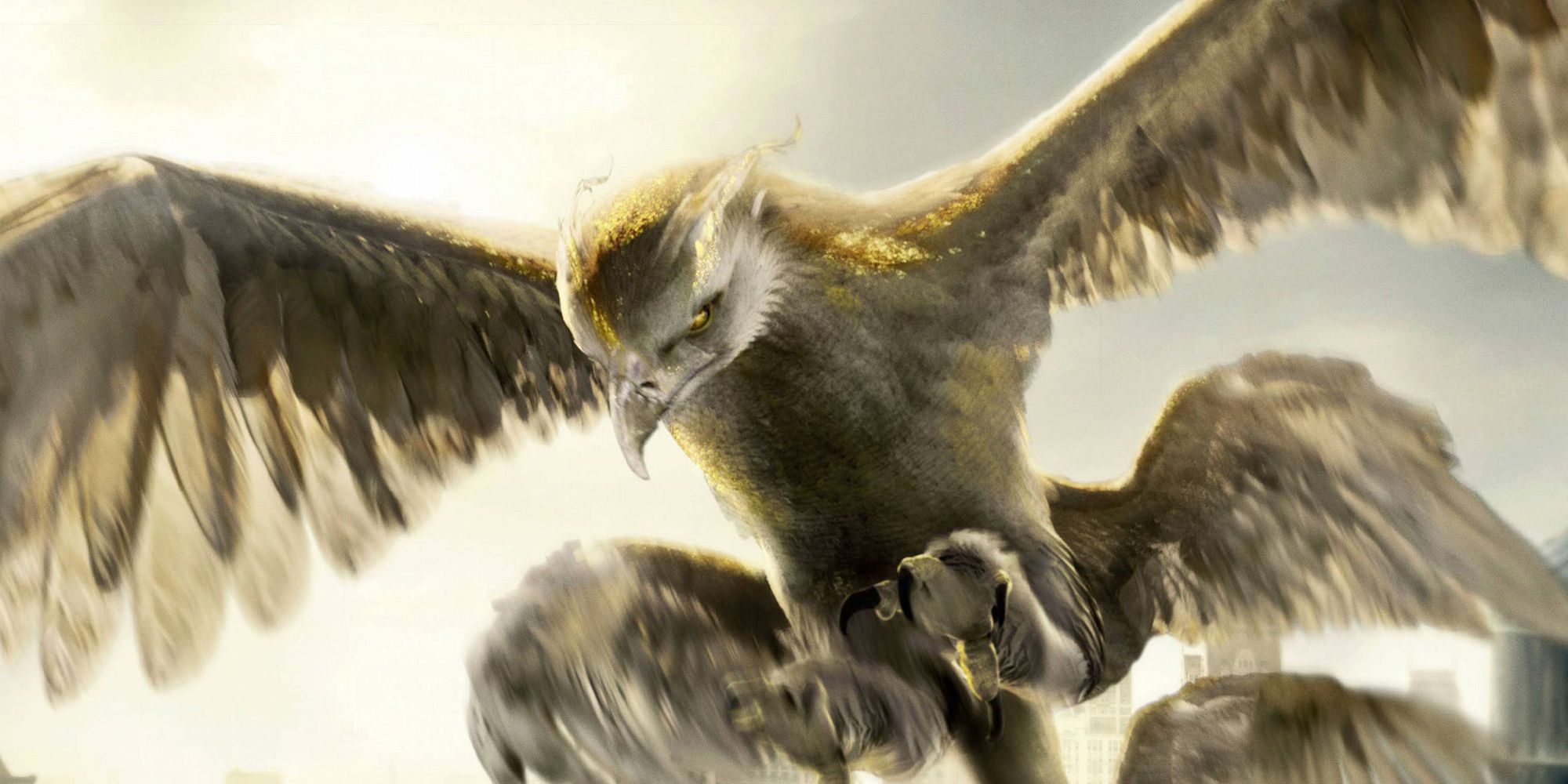 The Thunderbird flying in Fantastic Beasts and Where to Find Them