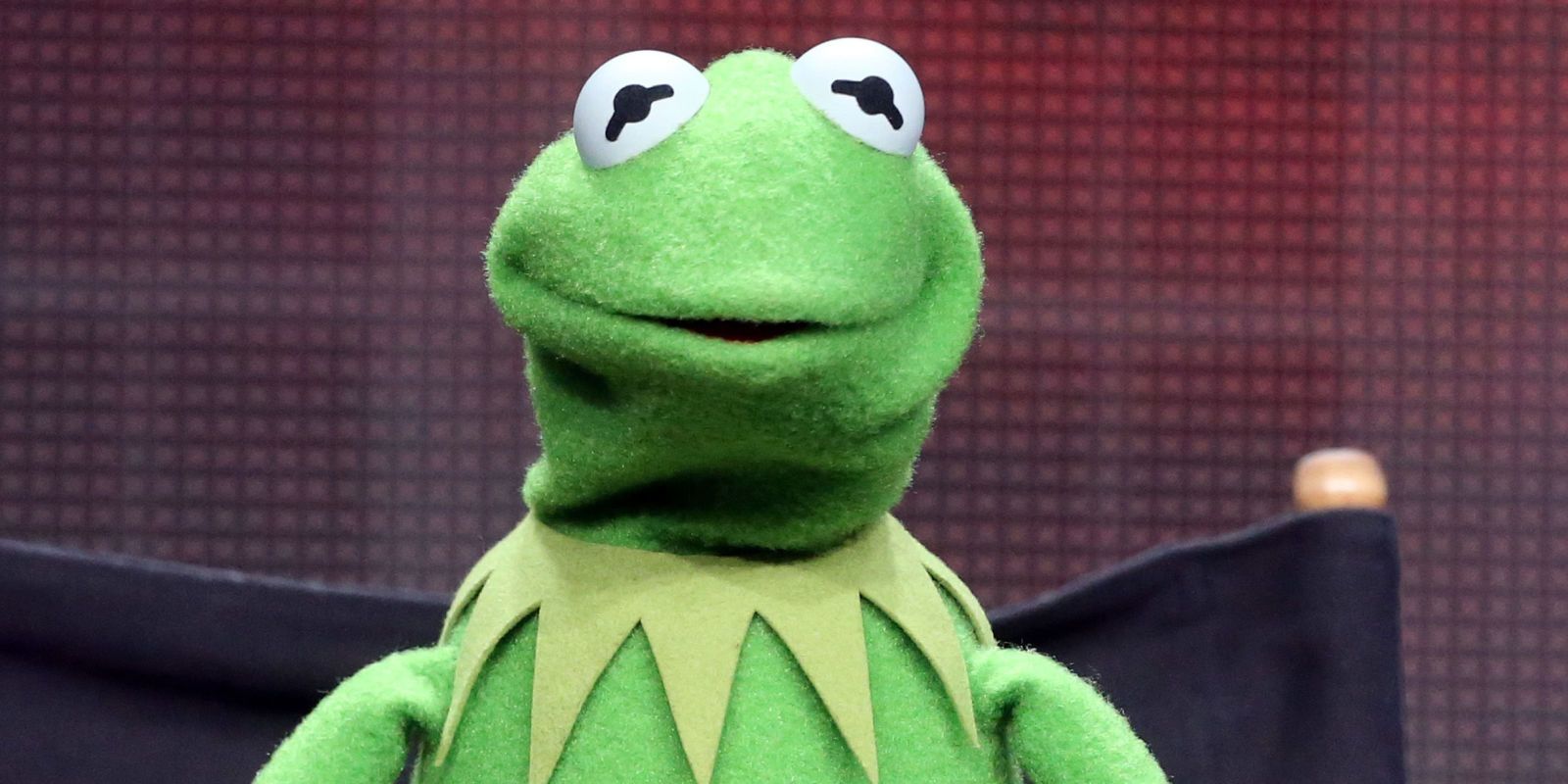 Kermit the Frog closeup of face