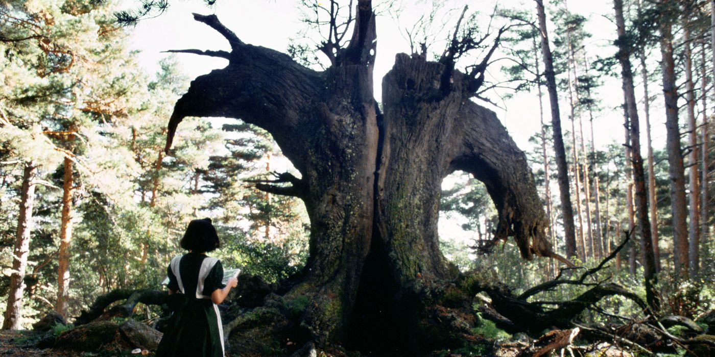 Pan's Labyrinth - Ofelia and tree