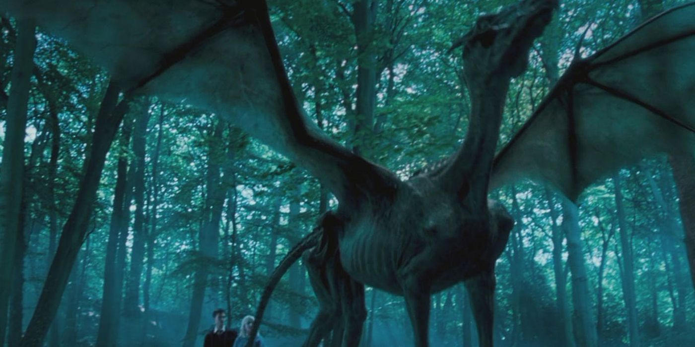 Harry Potter and Luna Lovegood standing behind a Thestral