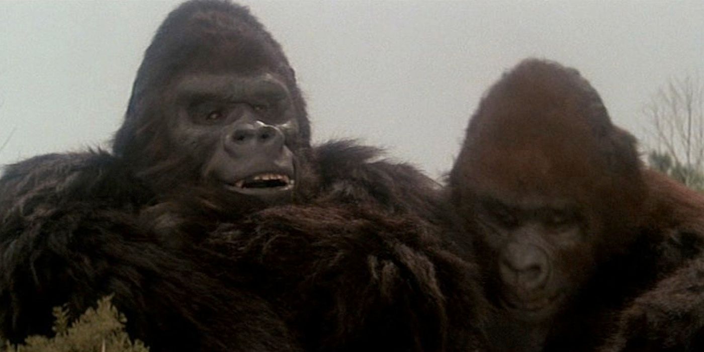 Every Kong Movie Ranked According To Letterboxd