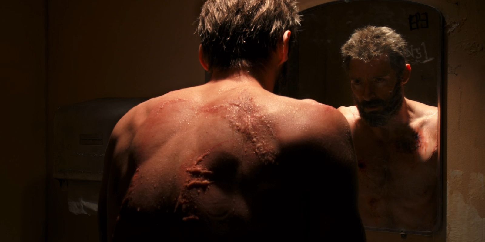 Logan Scars Mirror