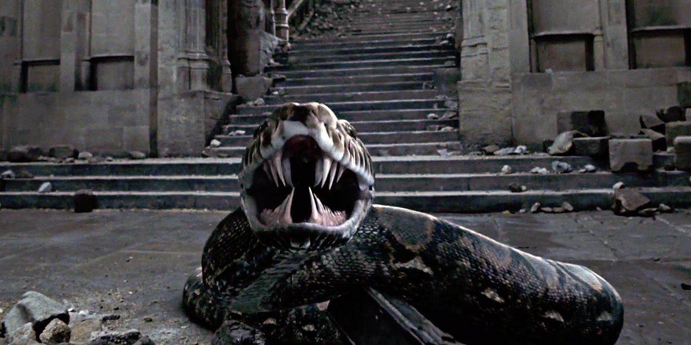 Nagini about to strike at Hermione and Ron