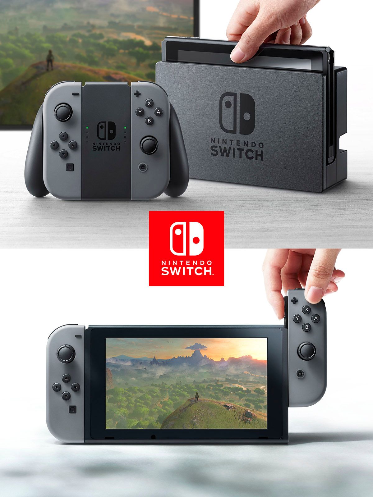 Nintendo Switch Vertical