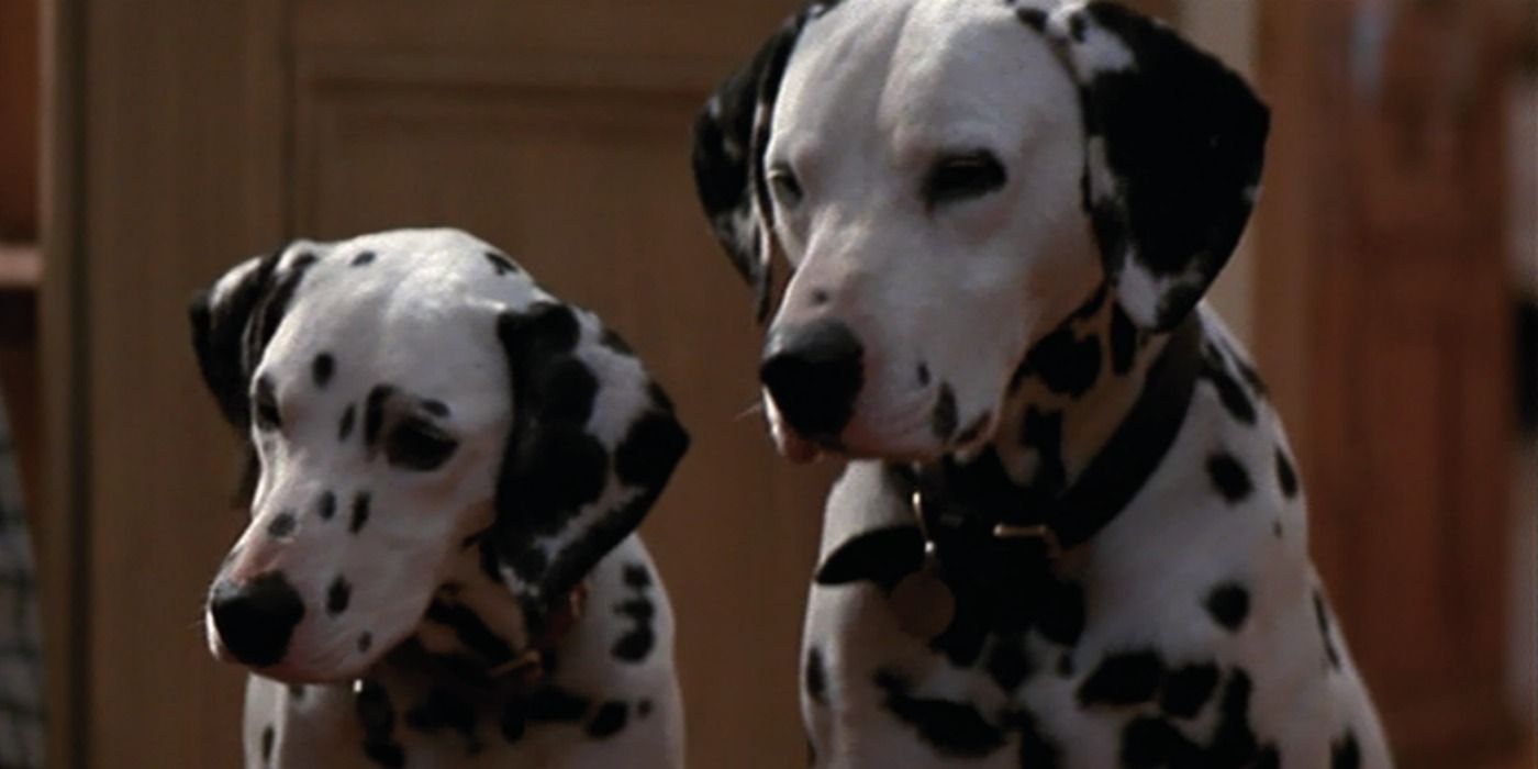All 101 Dalmatian & Cruella Movies Ranked, Worst To Best