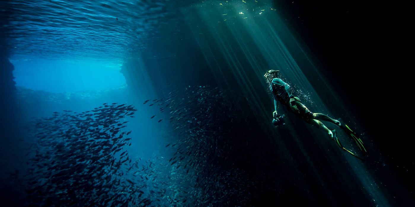 A still from Netflix's Tales by Light featuring a diver below the surface of the water with a school of fish