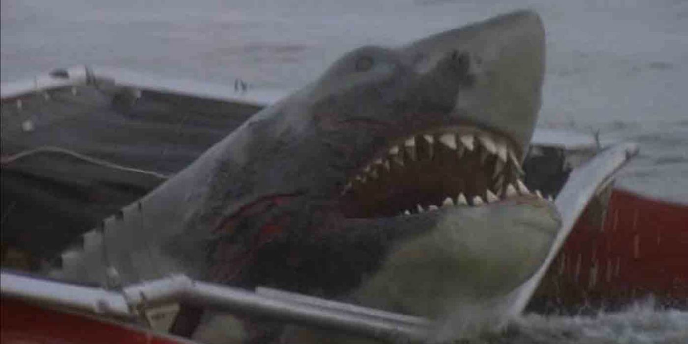 The Shark in Jaws 2