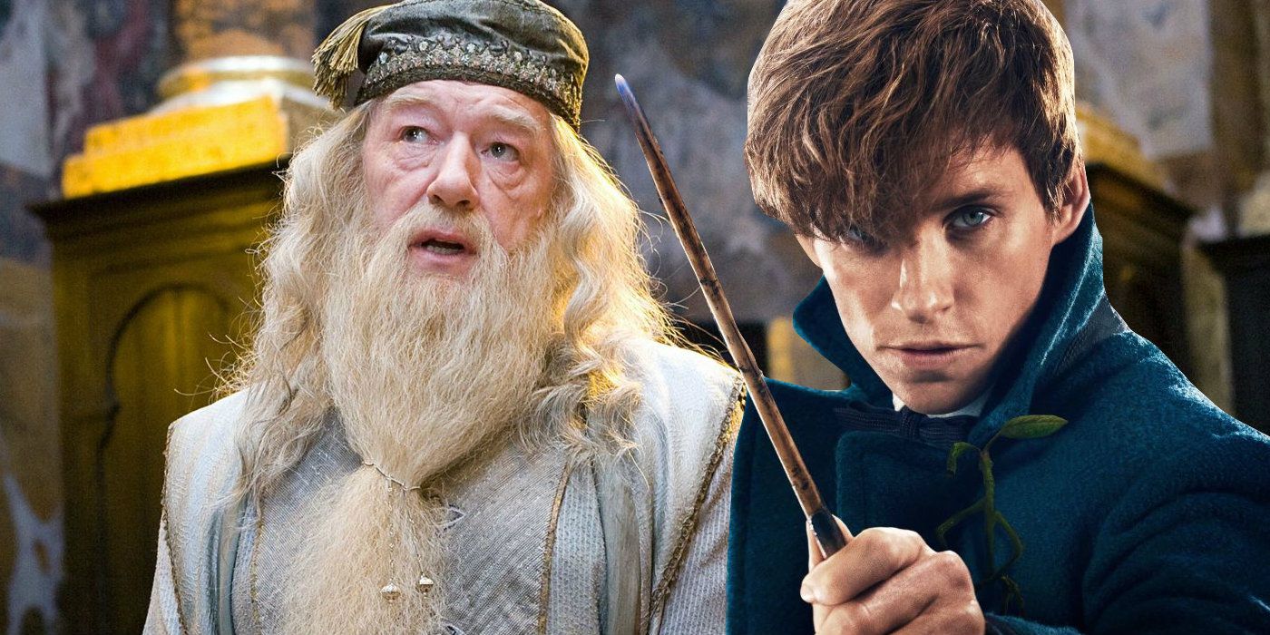 Fantastic Beasts - Dumbledore and Newt Scamander