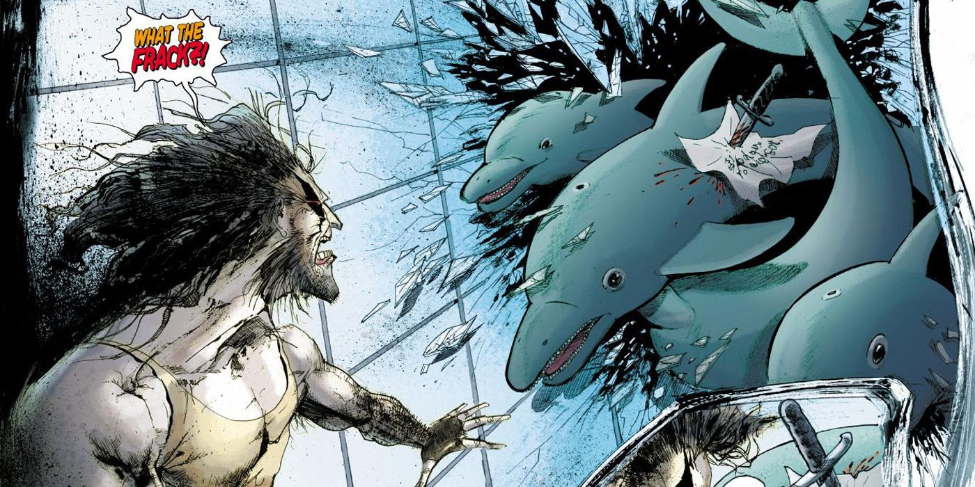Lobo and his Space Dolphins