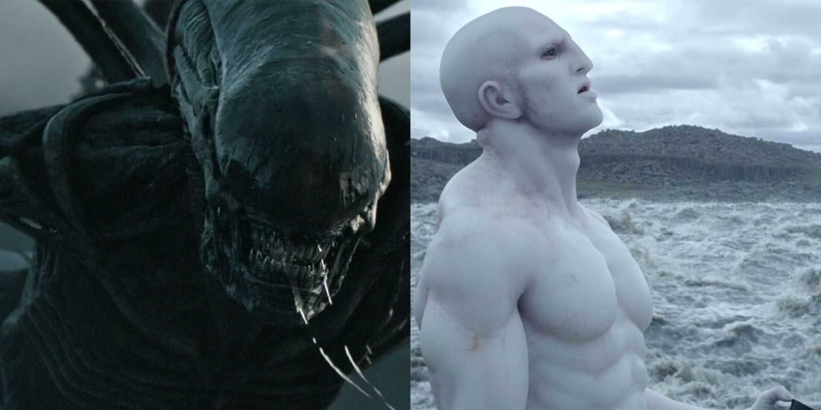 Alien: Covenant Xenomorph and an Engineer in Prometheus