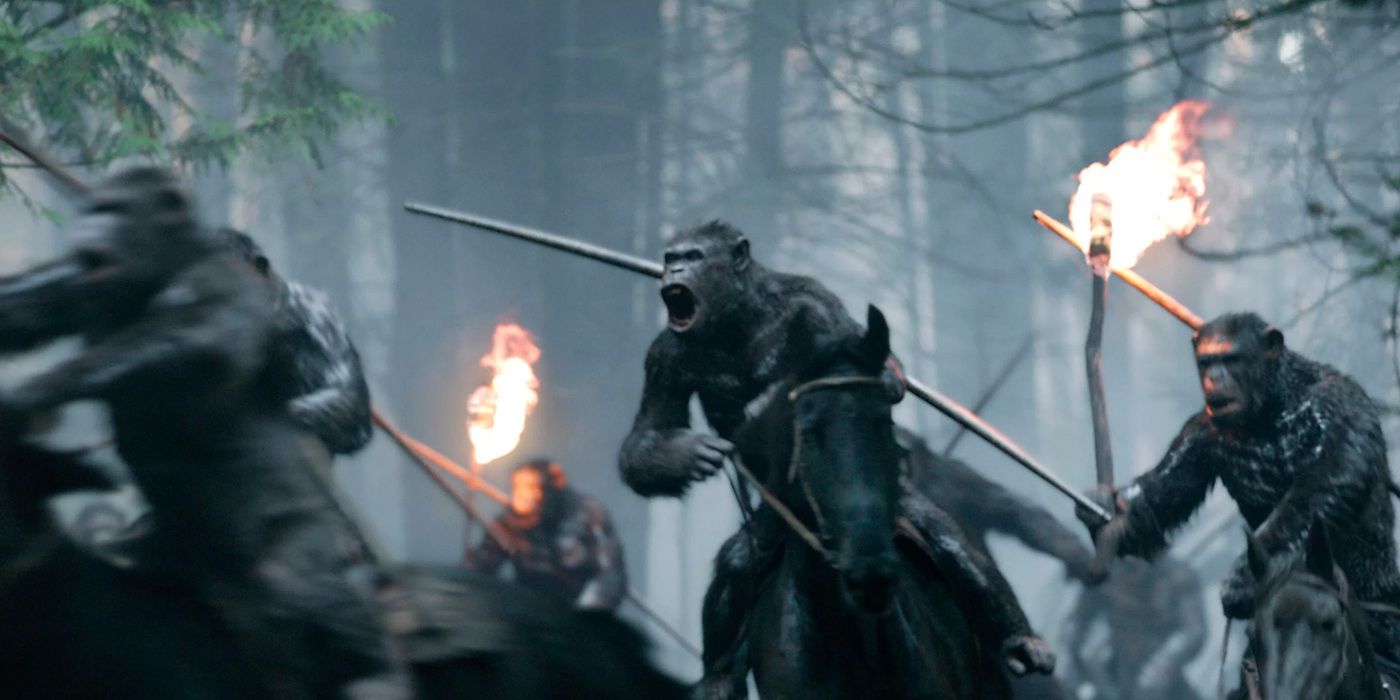 Apes in Battle in War for the Planet of the Apes