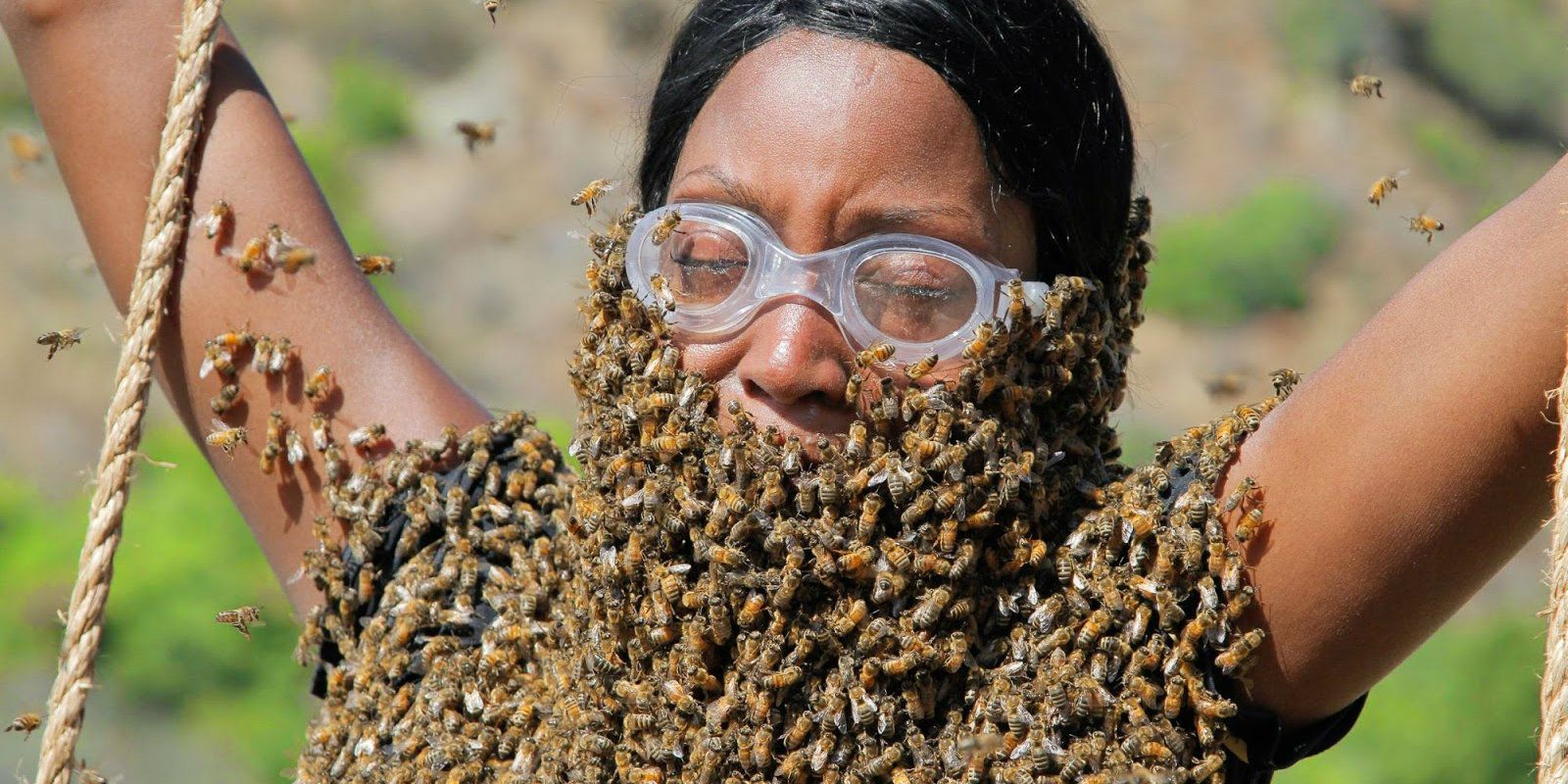 A contestant wearing a beard of bees on Fear Factor