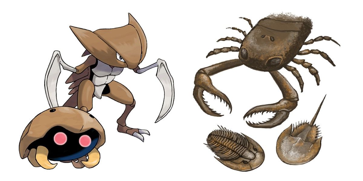 root fossil vs claw fossil pokemon